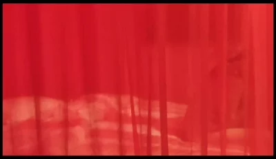 青纱帐1N3笔趣阁TXT